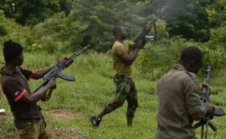Policeman Killed As Boko Haram Fighters Ambush LGA Chairman In Borno