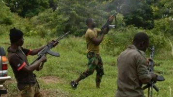 Policeman Killed As Boko Haram Fighters Ambush LGA Chairman In Borno