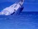 A 129-Foot Superyacht Worth Millions Sinks Off The Italian Coast