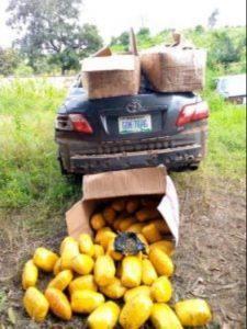 Abuja Police Nab Drug Peddler With Large Quantity Of Dried Cannabis, Recover Stolen Vehicle (Photos)