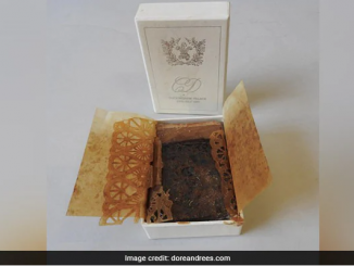 Cake Slice From Princess Diana, King Charles Wedding Auctioned. Guess How Much?