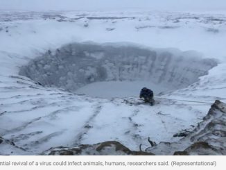 Scientists Revive 48,500-Year-Old 'Zombie Virus' Buried In Ice