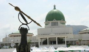 Nigerian NASS Says Constitution Amendments May Fail, Blames States