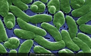 Deadly 'Flesh-Eating' Bacteria On The Rise In The US