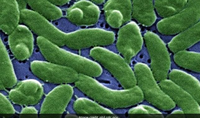 Deadly 'Flesh-Eating' Bacteria On The Rise In The US