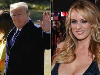 Understanding What Happened Between Trump and The Ex-Porn Star, Stormy Daniels