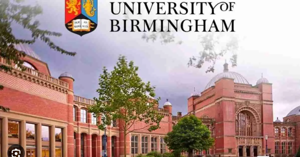 Introducing the 2023/2024 University of Birmingham DeepMind Scholarships for International Students