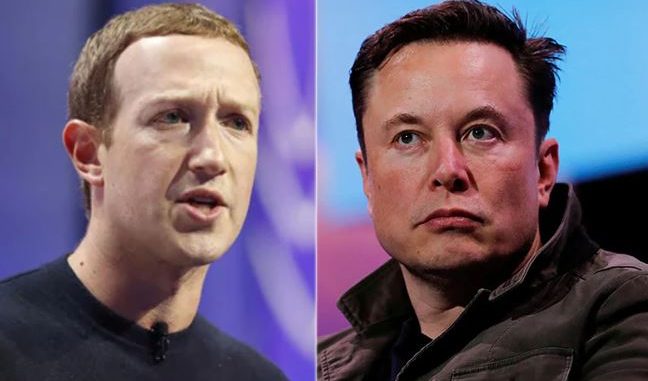 Musk-Zuckerberg Fight To Be Streamed Live On X, Proceeds To Go To Charity