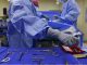 US Surgeons Complete 61-Day Experiment: Transplant Pig Kidney into Brain-Dead Human