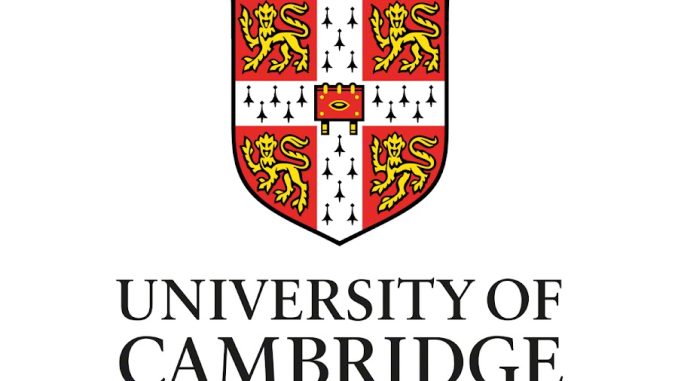 Fully Funded Cambridge Africa Changemakers 2024 Scholarship for PhD Students