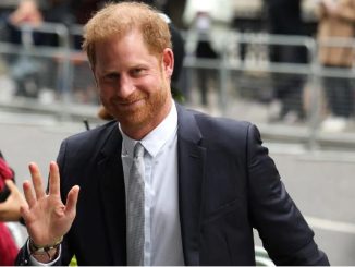 Prince Harry's Legal Challenge Against UK Government Fails Over Personal Security